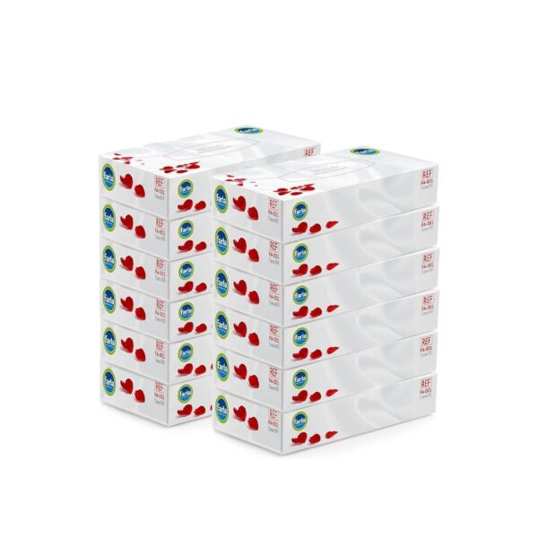 Farla Medical Facial Tissues - Pack of 12 Tissue Boxes, Bulk Buy 2-ply, 1200 Count (12 Pack of 100), White