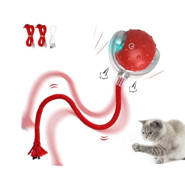 Iokheira Interactive Cat Toy Electric Automatic Toys for Indoor Cats,