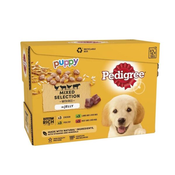 Pedigree Junior Wet Dog Food for Young Dogs and Puppies, 12 Pouches (12 x 100 g)